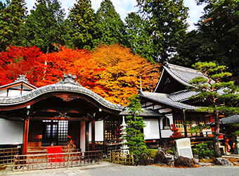 画像：温泉寺