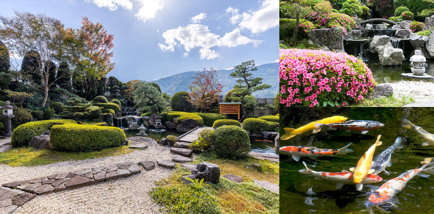 画像：日本庭園